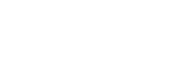 Laurie Levin