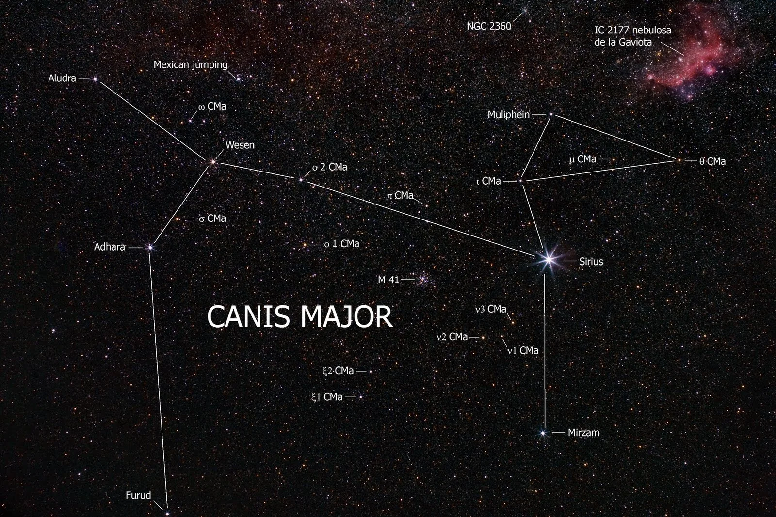 Vy canis Majoris на небе
