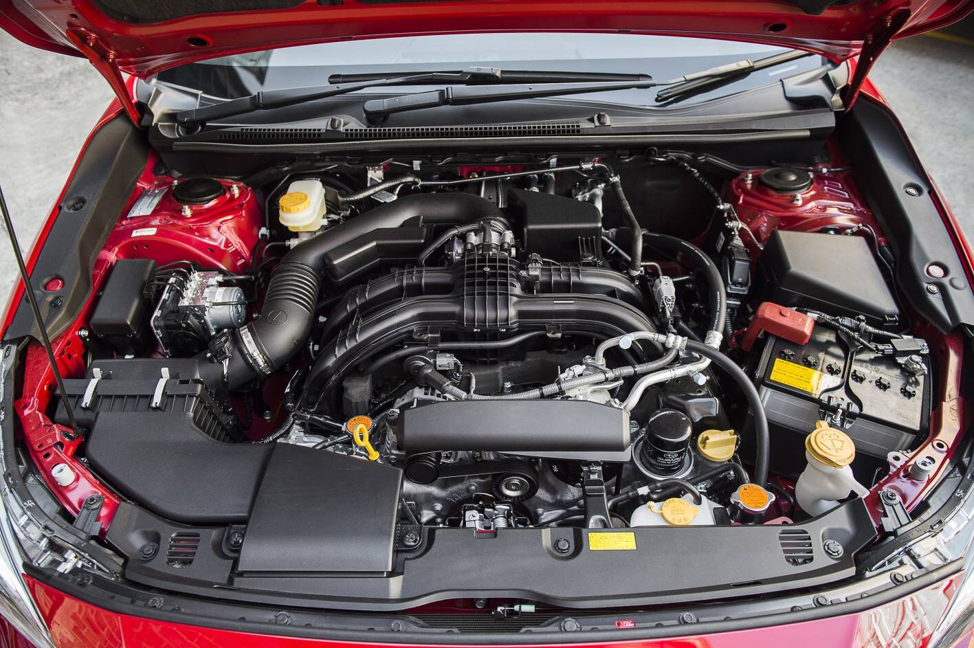 impreza boxer.jpg