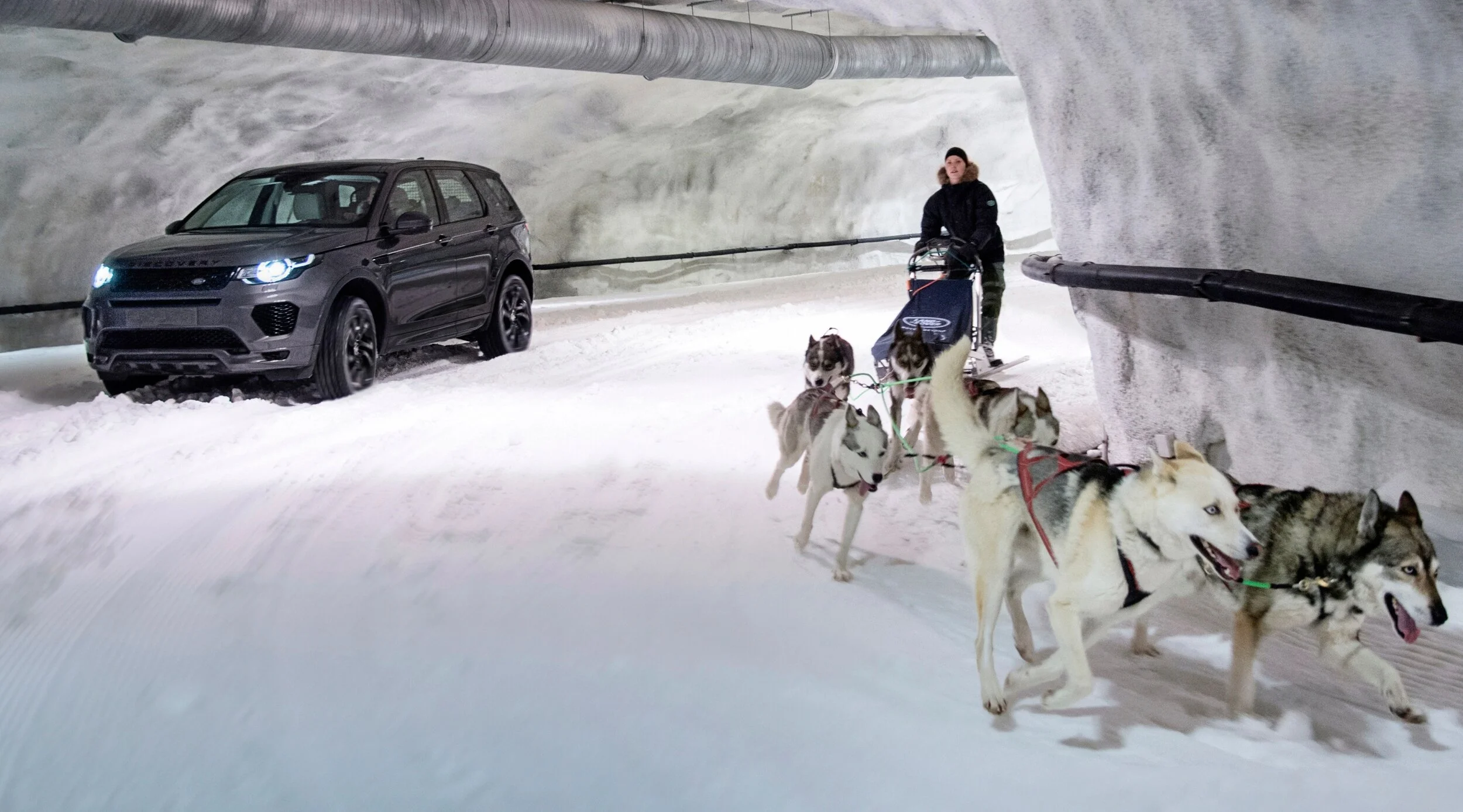 SnowDogs-DOGPowerVSHorsepowerinDiscoverySportSnowTunnelChallengeimage159227_c.jpg
