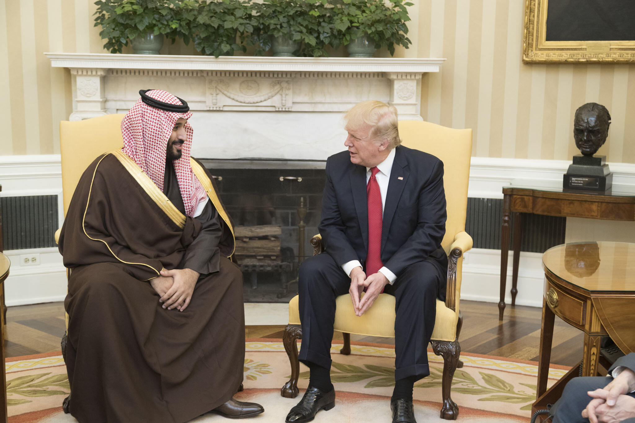 Donald_Trump_and_Mohammad_bin_Salman_Al_Saud_in_the_Oval_Office,_March_14,_2017.jpg