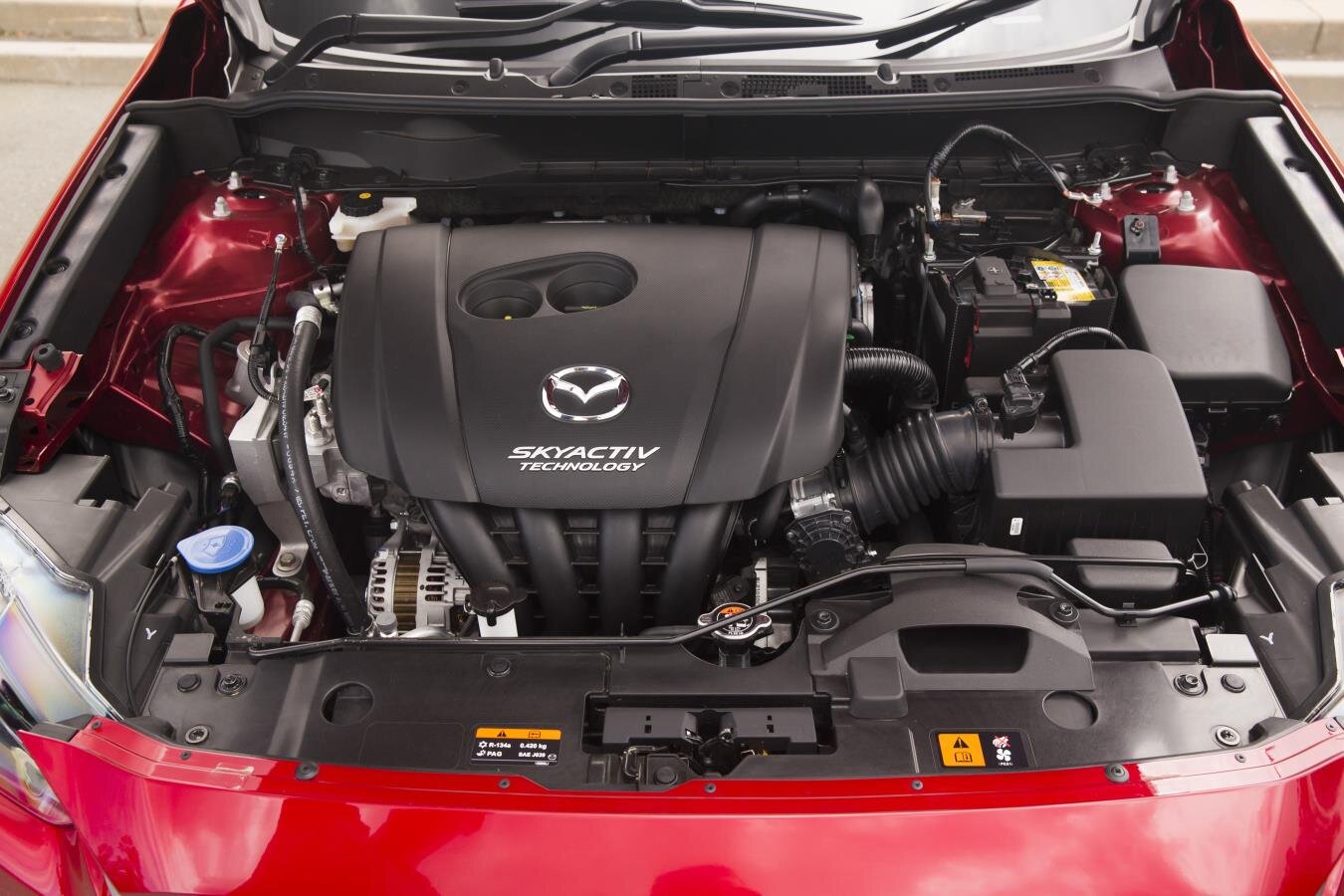 CX3-2505.jpg