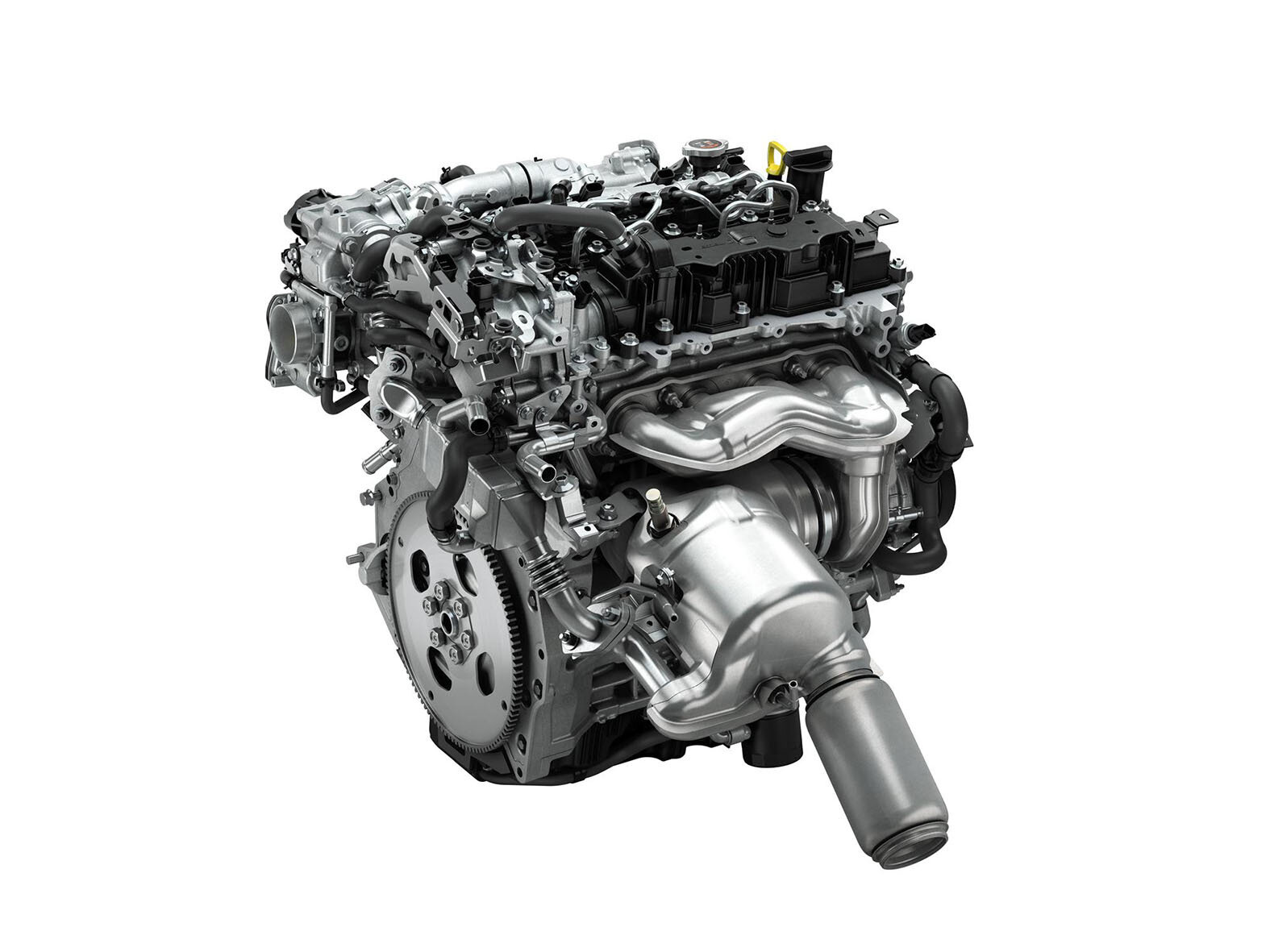 P1J17619s.jpg