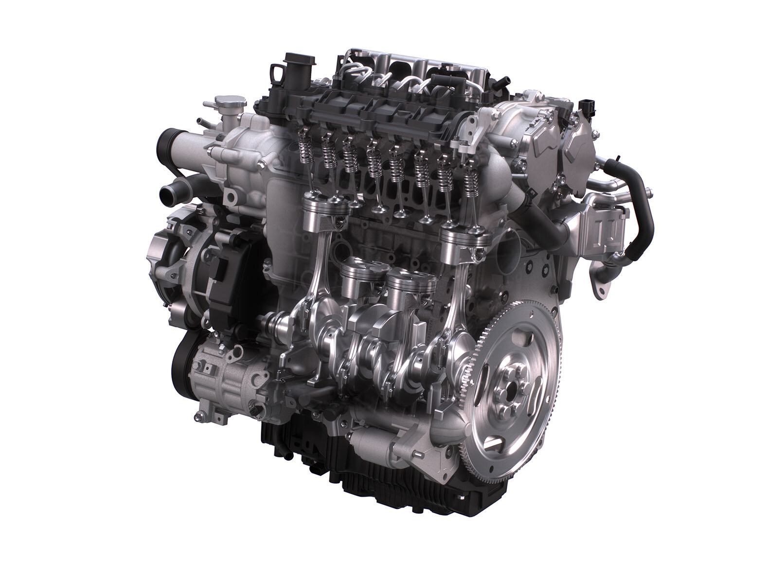 P1J14926s.jpg