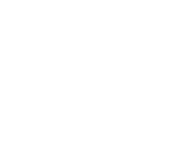 Mountain Toad Brewing