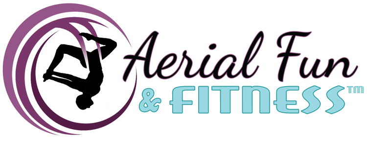 Aerial Fun and Fitness