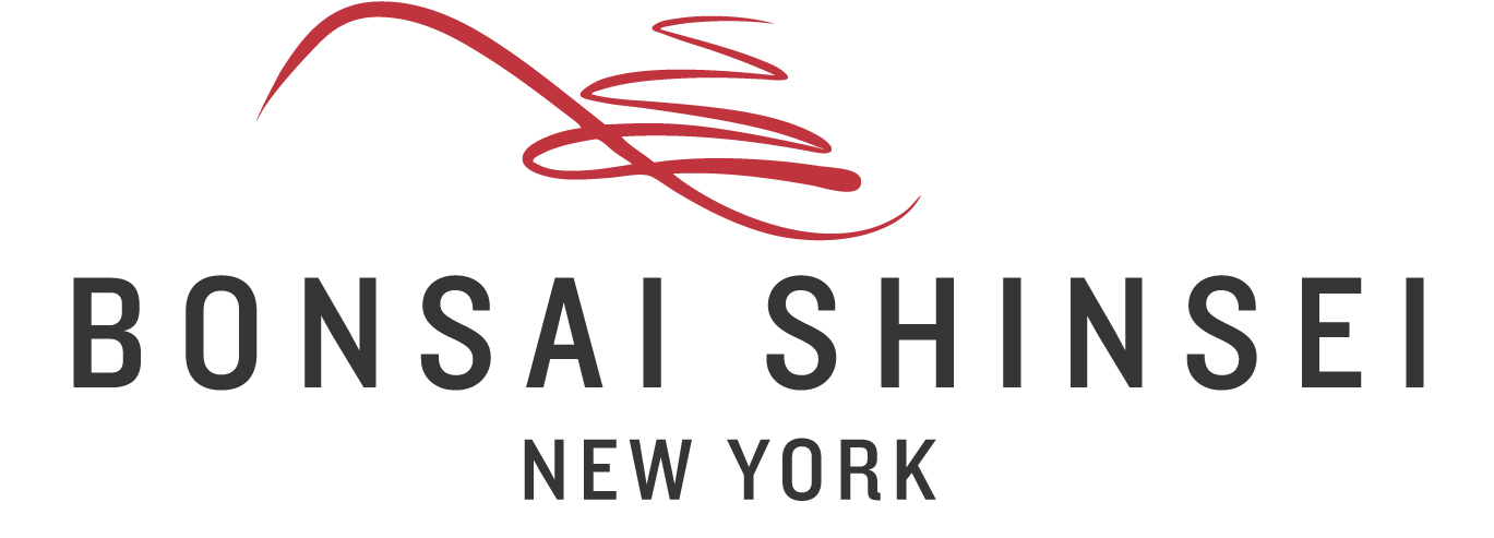 Bonsai Shinsei New York