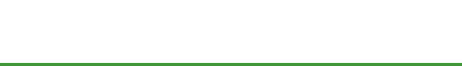 GREEN & SCHAFLE - Philadelphia Law Firm