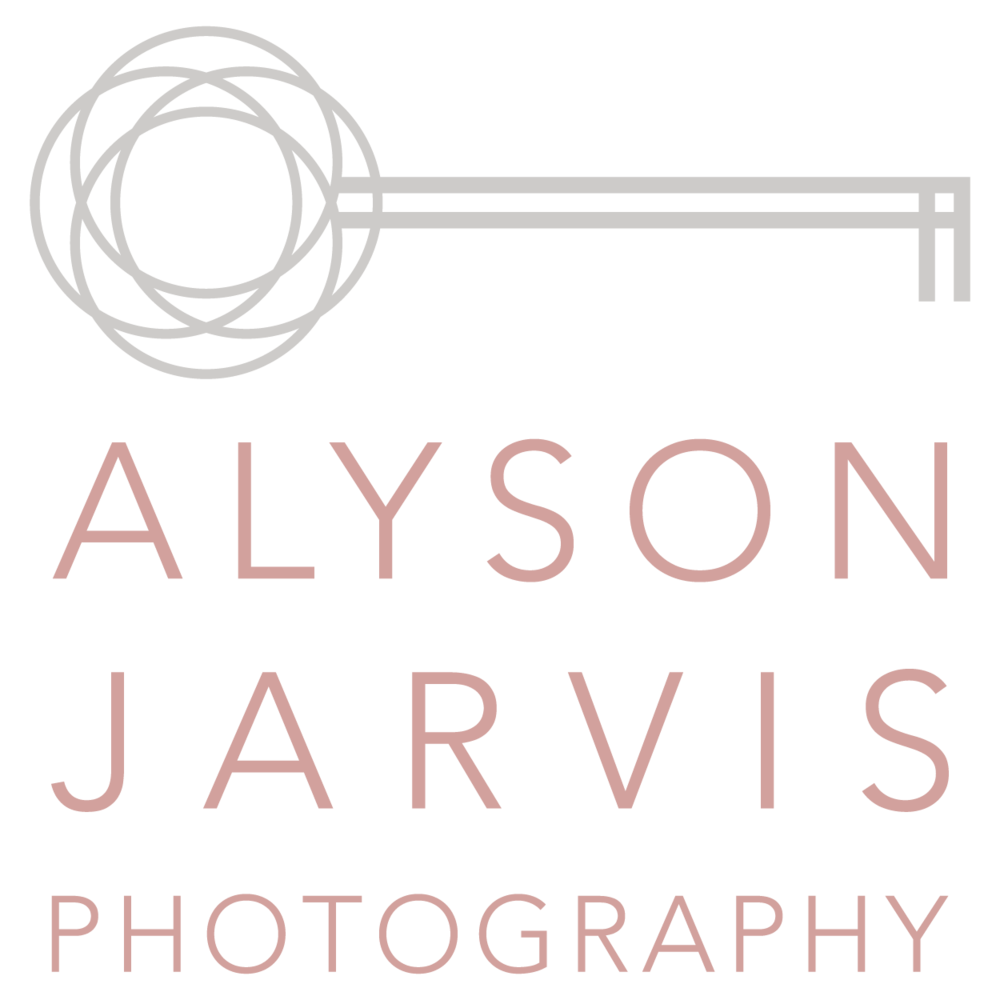 alyson jarvis photography