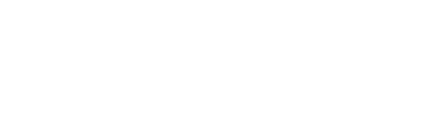 DiSalvo Performance Training
