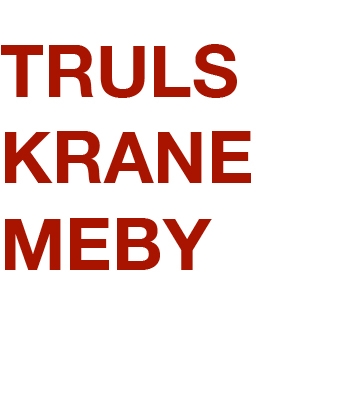 Truls Krane Meby // a northern-norwegian filmmaker