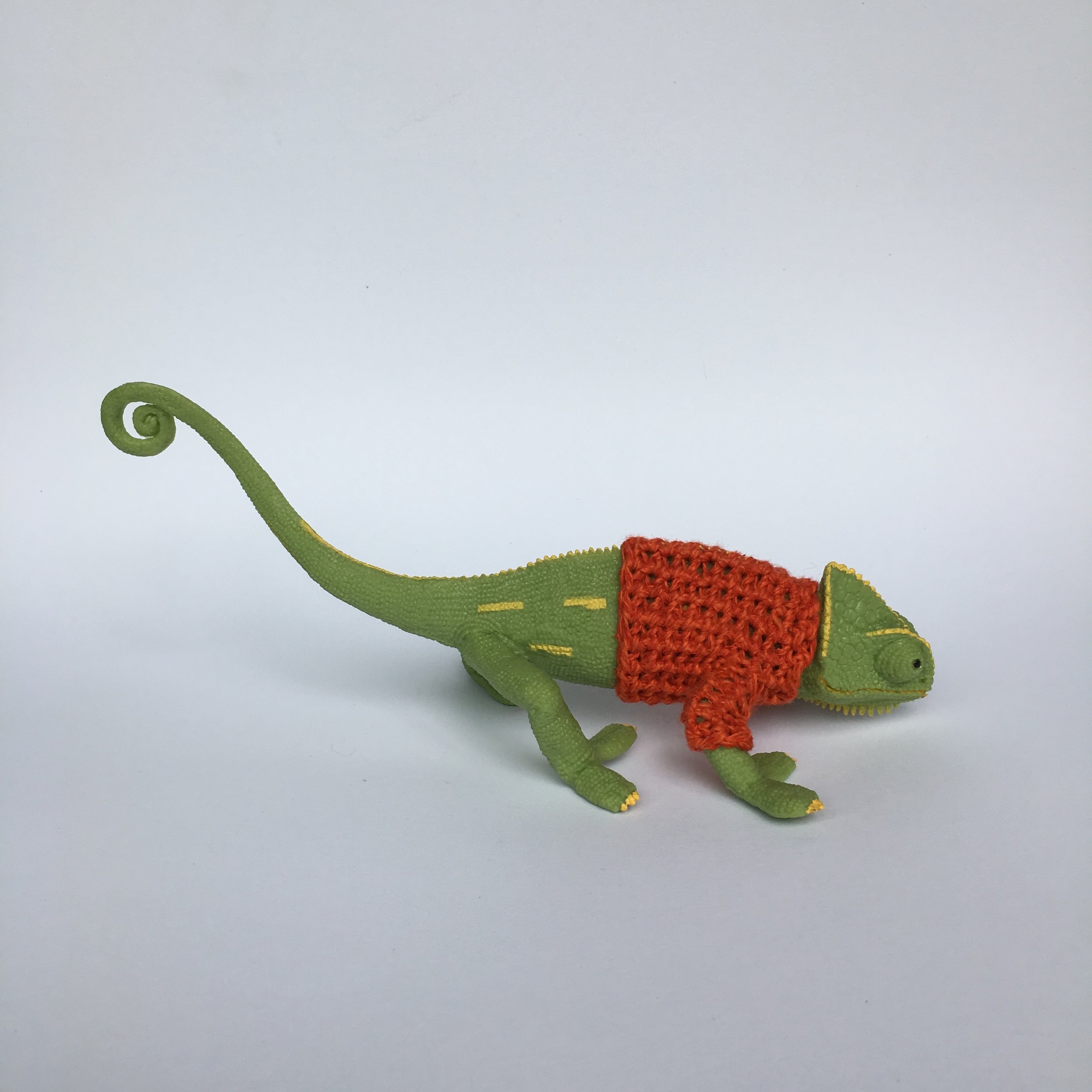 chameleon sweater