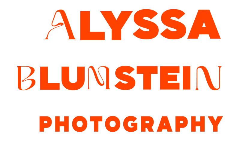 Alyssa Blumstein Photography