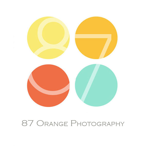 Grand Rapids Photographer | Grand Rapids Photography Studio | 87 Orange Photography