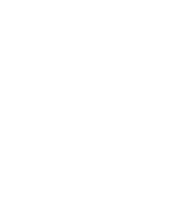 SPACEMAN