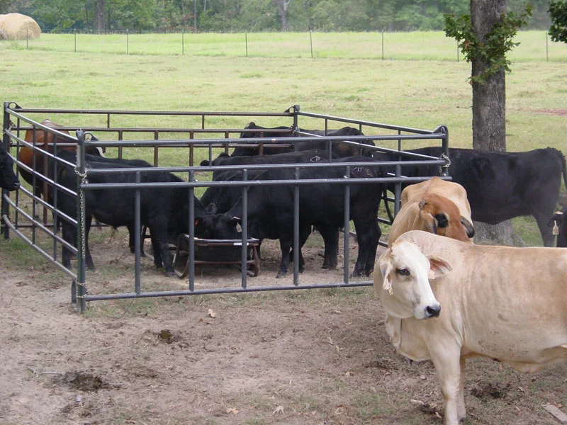 12 Premier Calf Pass Panel Pcpp12gy