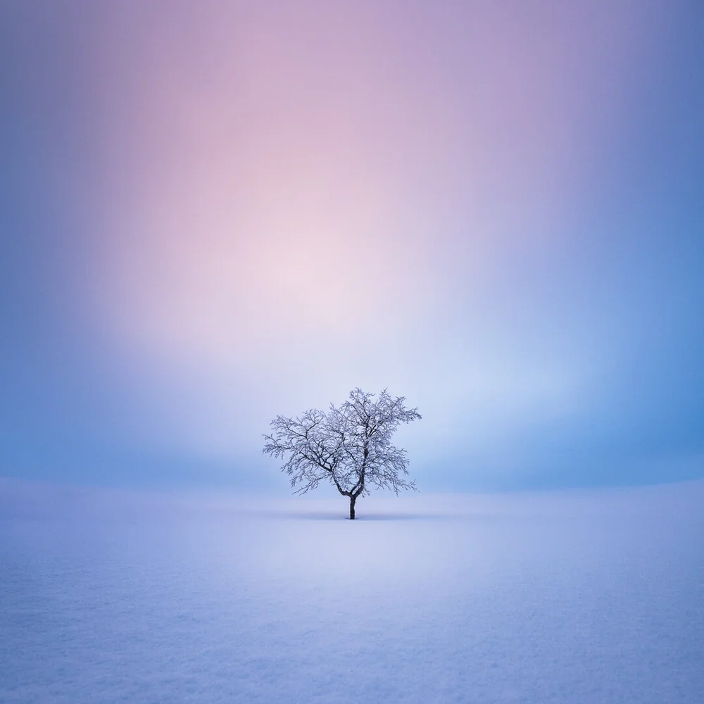 Mikko Lagerstedt – Solitude – 2018