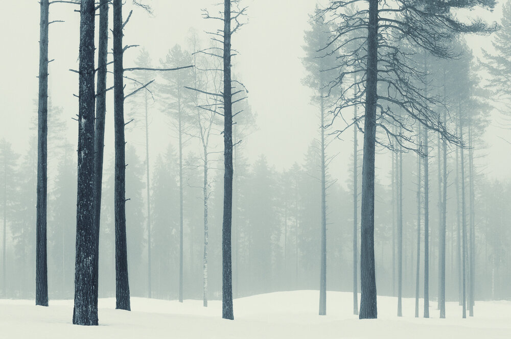 Mikko Lagerstedt – Harmony – 2010