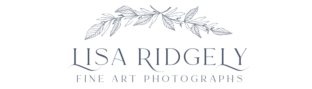Lisa Ridgely Photography
