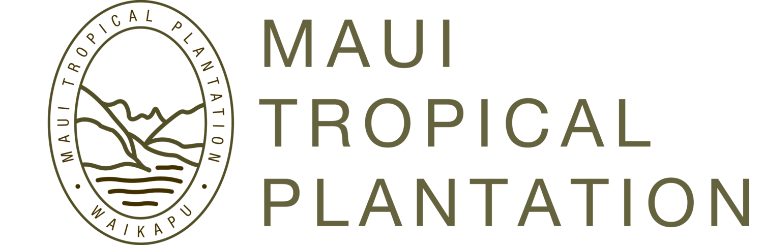 Maui Tropical Plantation | Tour, shop, explore and dine!