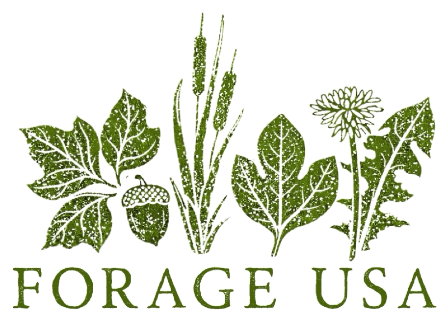 EdibleWildPlants.com