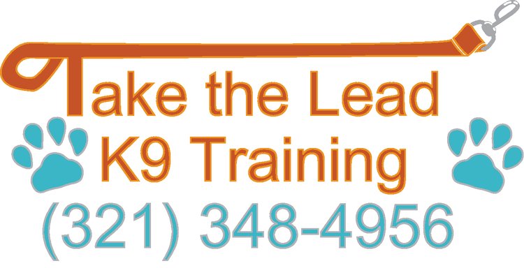 Take the Lead K9 Training