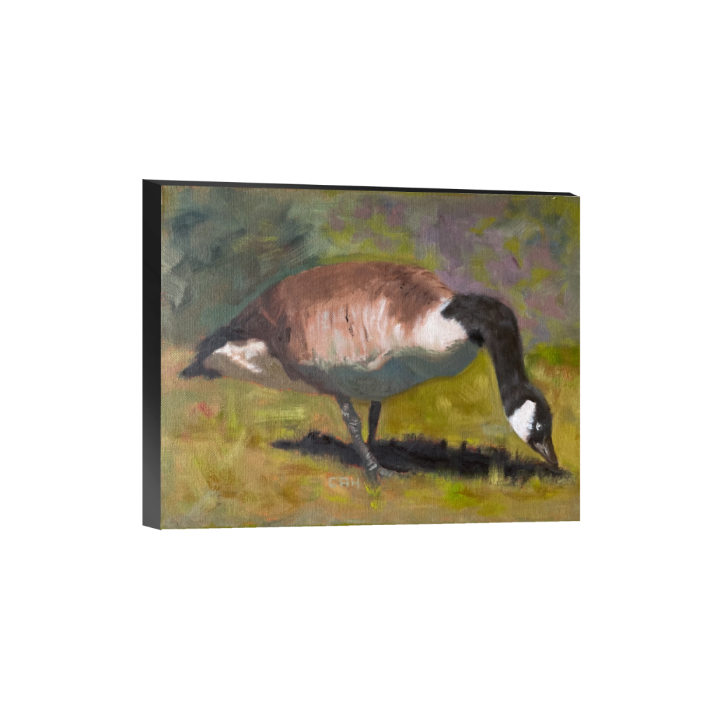 Canada Goose — Chris Hendrix Art