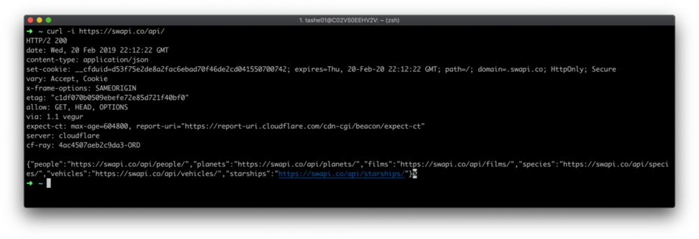 A terminal example, showing a GET request made to the Star Wars API endpoint https://swapi.co/api via cURL