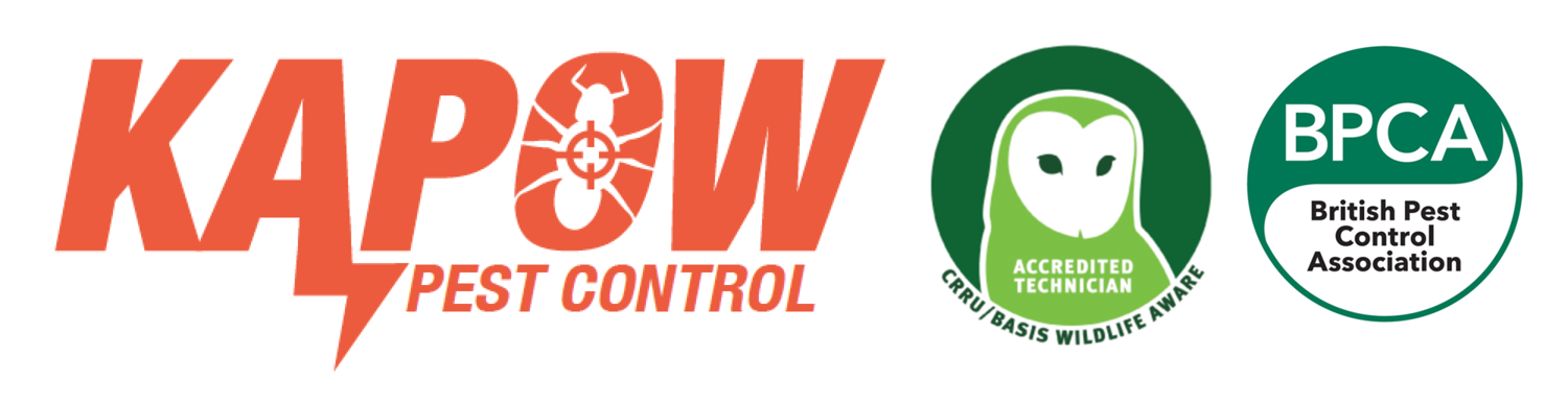 Kapow Pest Control, Best in the West