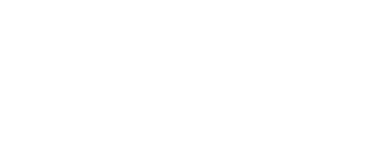 The Car Experience