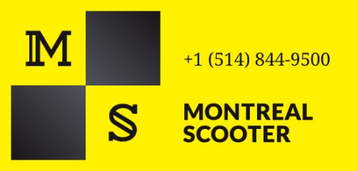Montreal Scooter Rentals and Tours - Honda and Vespa - Location et promenades de scooter - Things to do in Montreal