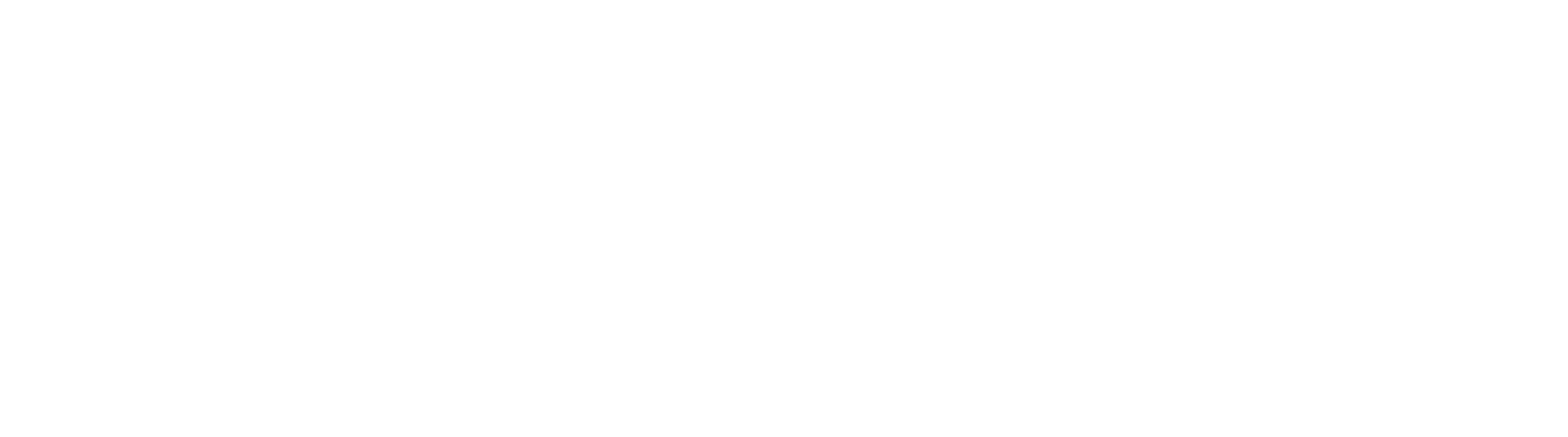 Press Energy Services