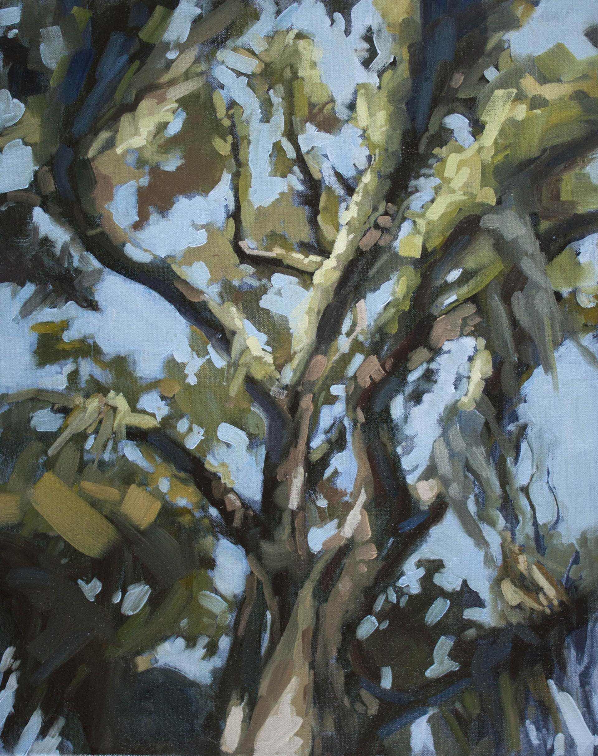 Canopy 16 X20 Oil Painting Kristin Cronic Fine Art