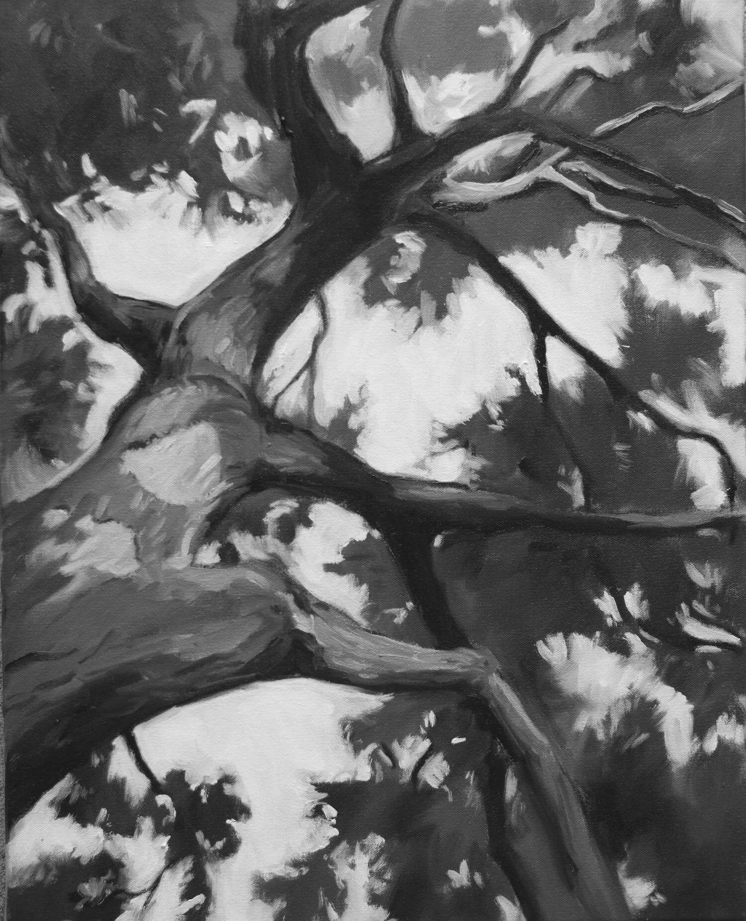 Monochromatic 2 16 X20 Oil Painting Kristin Cronic Fine Art