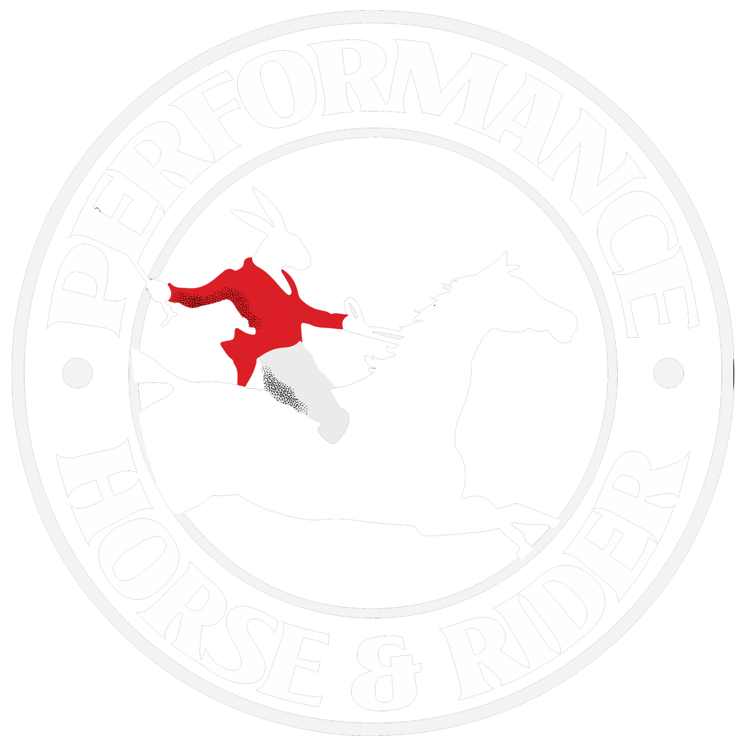 Performance Horse & Rider | Equestrian Atelier