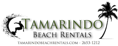 Tamarindo Beach Rentals