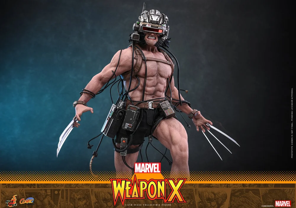 Hot-Toys-Weapon-X-003.jpg
