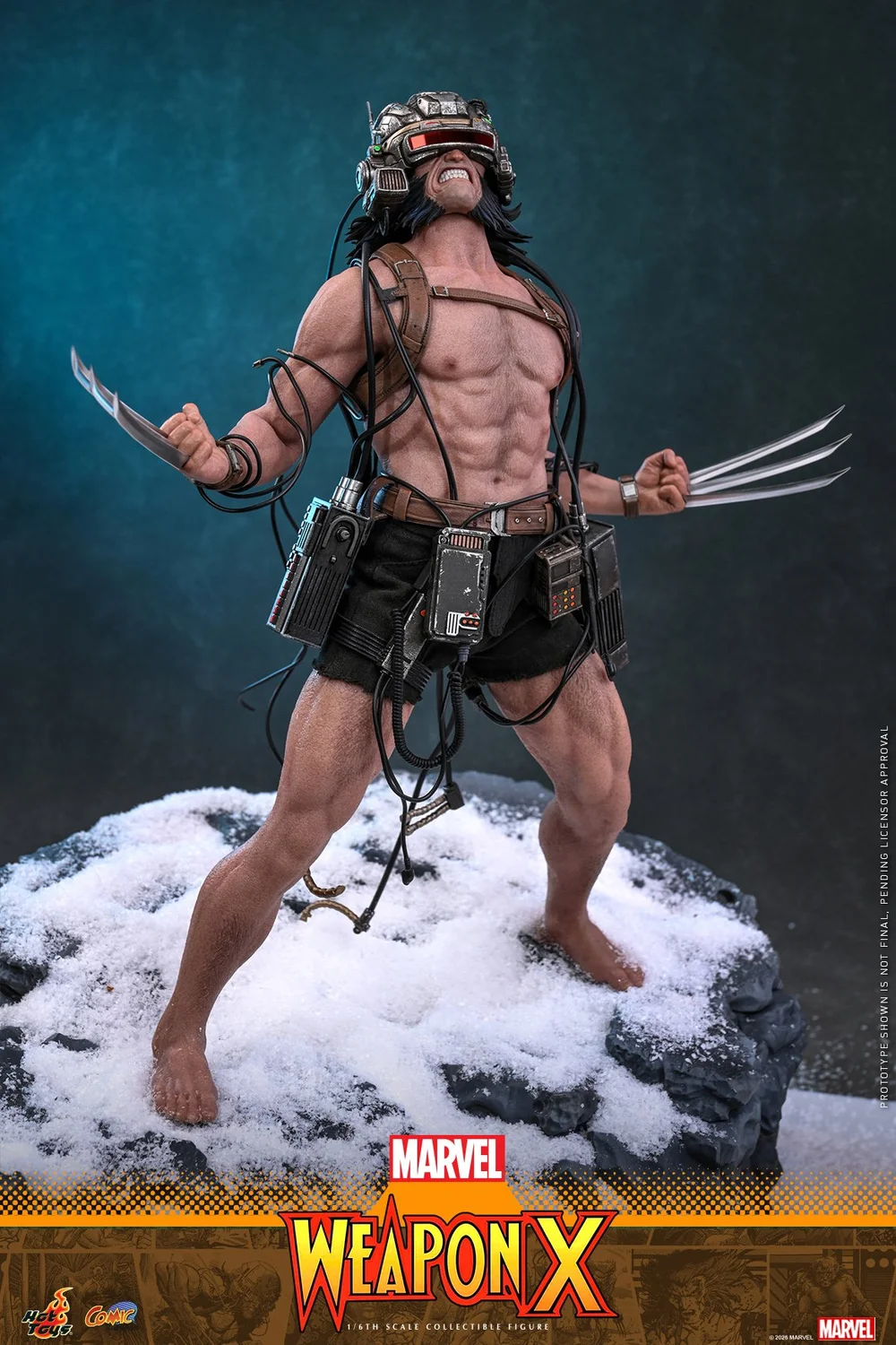 Hot-Toys-Weapon-X-006.jpg