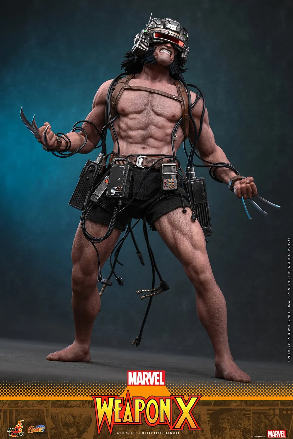 Hot-Toys-Weapon-X-009.jpg