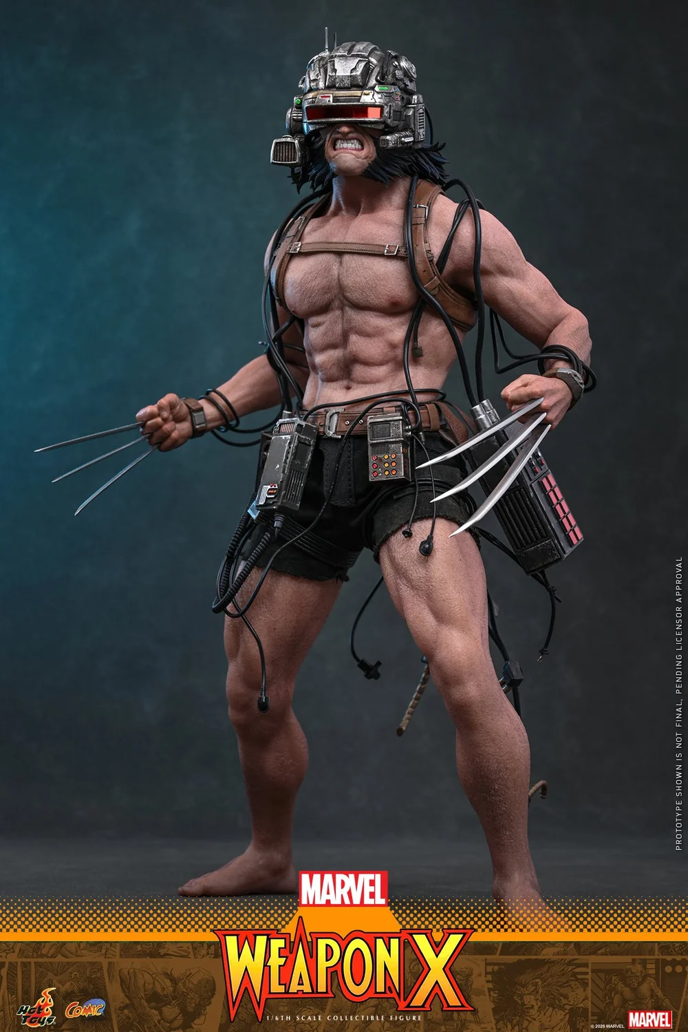 Hot-Toys-Weapon-X-010.jpg