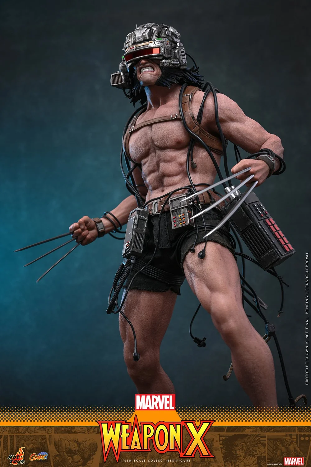 Hot-Toys-Weapon-X-011.jpg