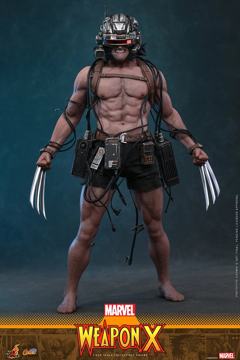 Hot-Toys-Weapon-X-012.jpg