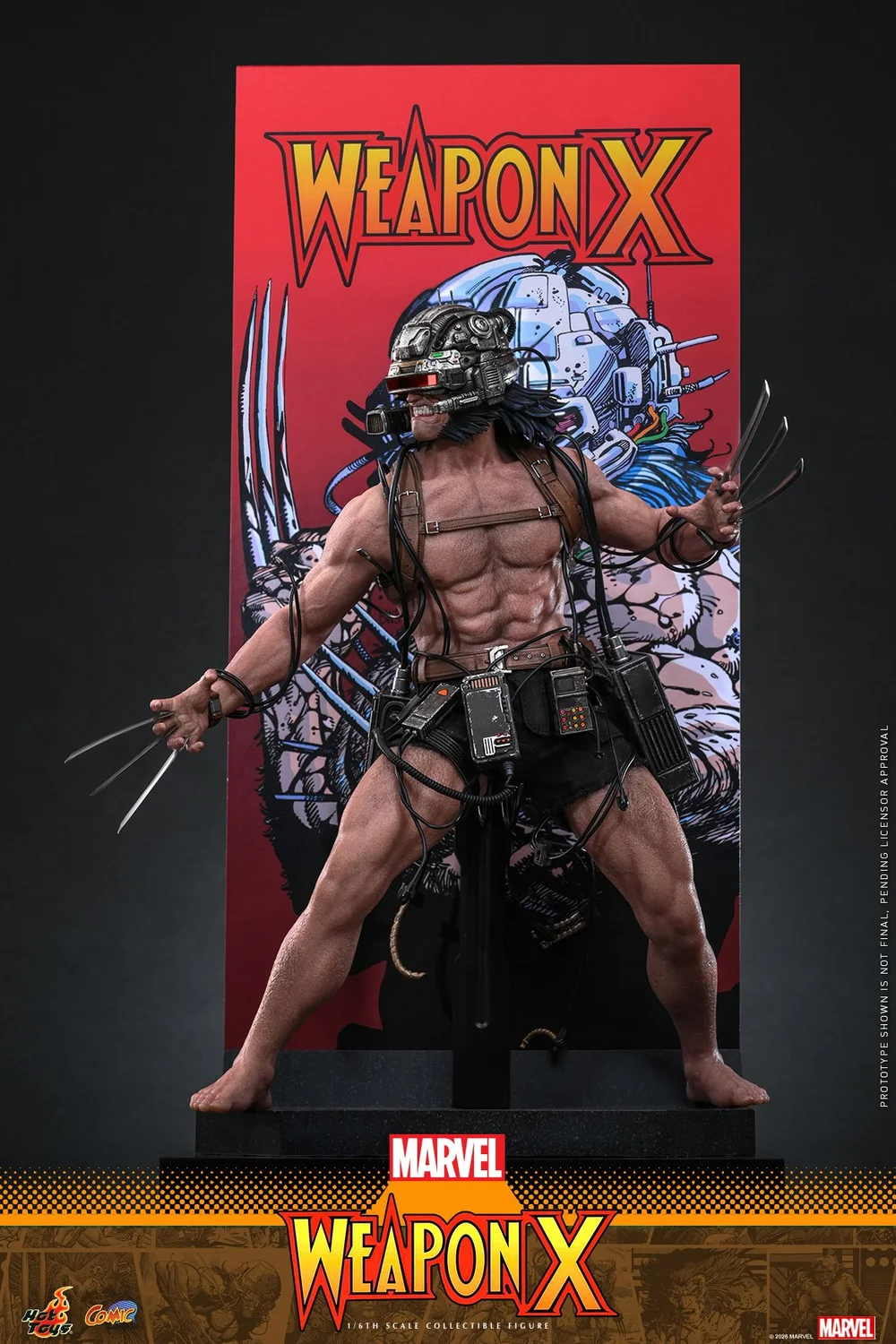 Hot-Toys-Weapon-X-013.jpg