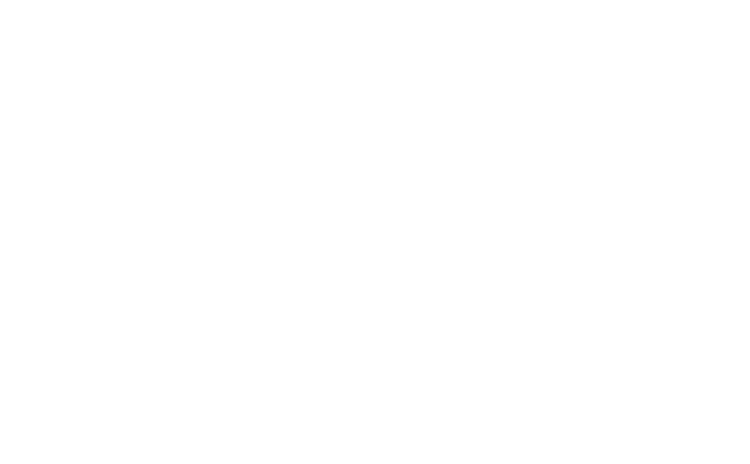 The Dog Spa and Wagging Tails Day Care Nelson