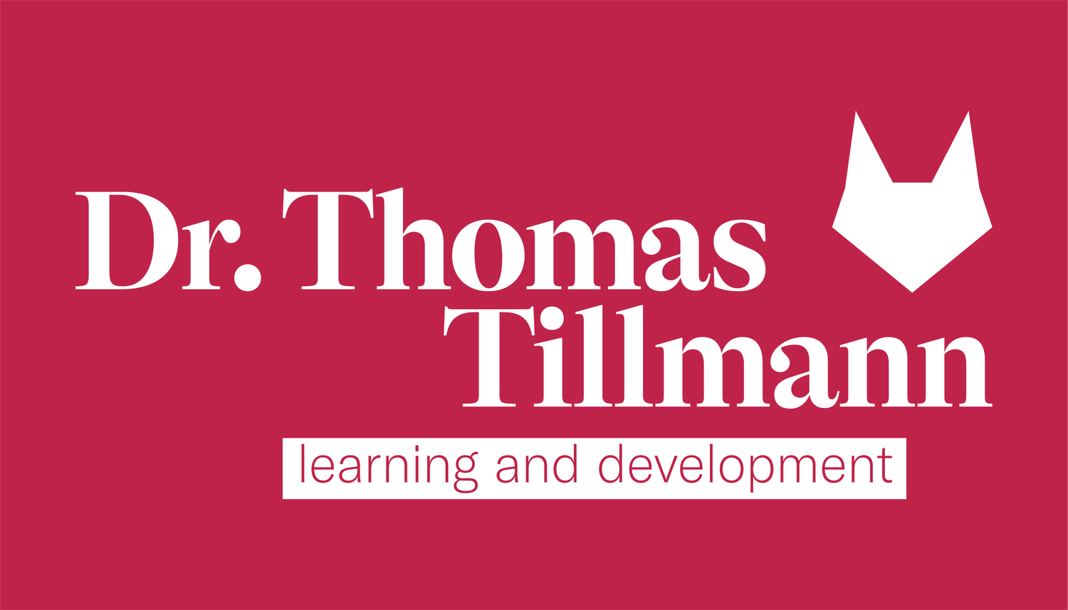 Dr. Thomas Tillmann - consulting in education