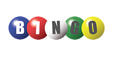 Electronic Bingo Systems