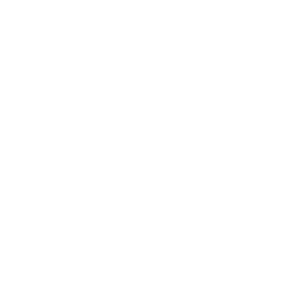 ALVISUAL - Bespoke Solutions at Retail + Interior