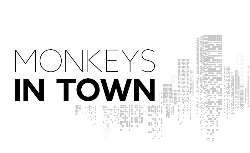 Monkeys in Town