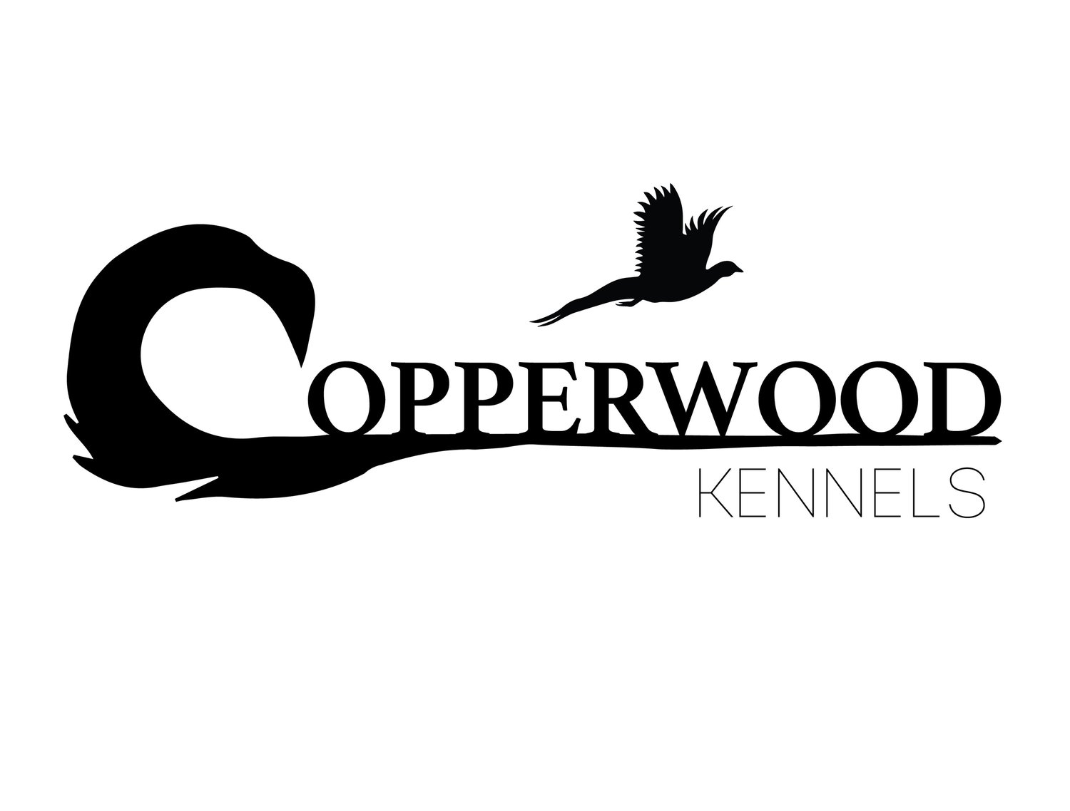 facilities-copperwood-kennels