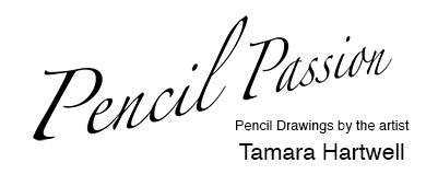 Pencil Passion